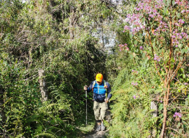 Caminando al refugio del Tungurahua