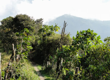 Sendero al refugio del Tungurahua
