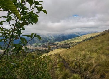 Arbustos y paja alta, Volcán Imbabura