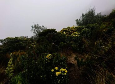 Caminata al Cerro Imbabura