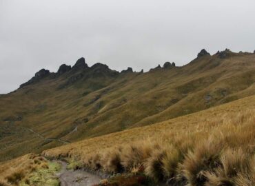 Picos occidentales y cumbre máxima, Cerro Puntas
