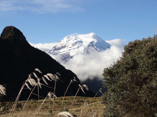 Antisana, visto desde la Laguna de Sucos