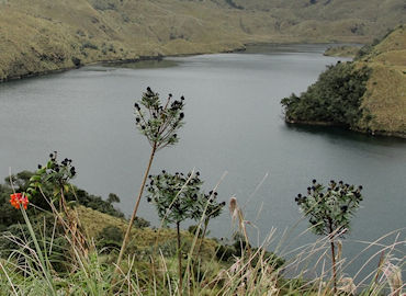 Laguna de Sucos, Parque Nacional Cayambe Coca, Ecuador
