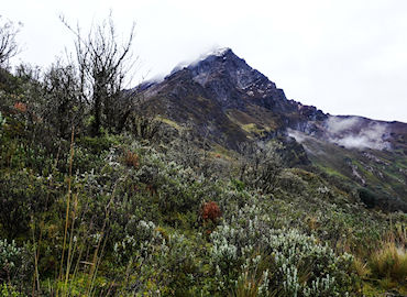 Pico Mocha, Nevado Carihuairazo, Ecuador
