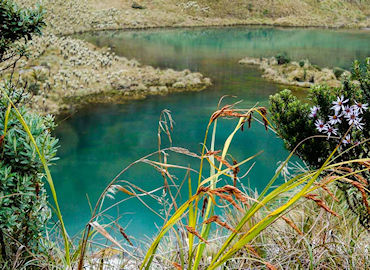 Lagunas Verdes - Volcán Chiles- Ecuador