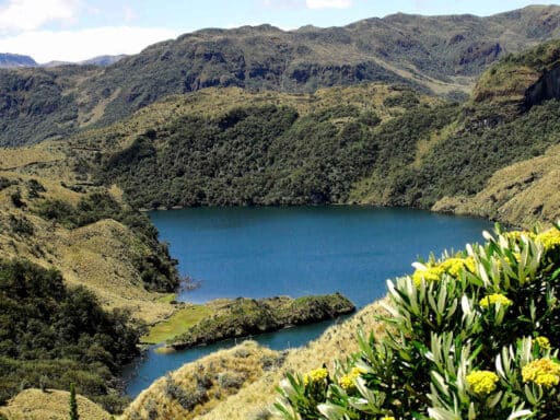 Laguna Mentala - Trekking del Oso