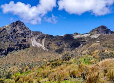 Sendero Yanacocha - Cerro Ladrillos, Pichincha